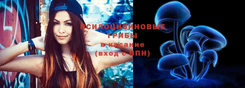 Галлюциногенные грибы Psilocybe  Раменское 